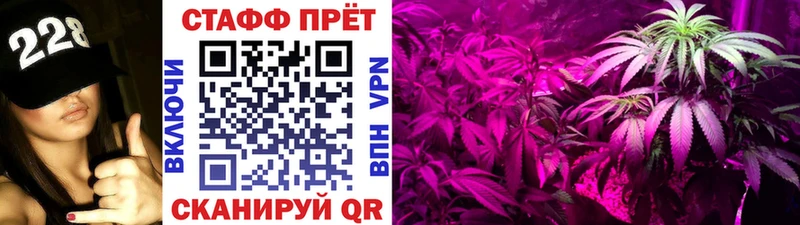 Наркота Куса Галлюциногенные грибы ГАШИШ Бошки Шишки