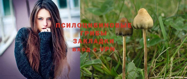стафф Белоозёрский